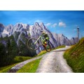 Downhill am Asitz in Leogang, handgemaltes &Ouml;lbild in 60x90cm